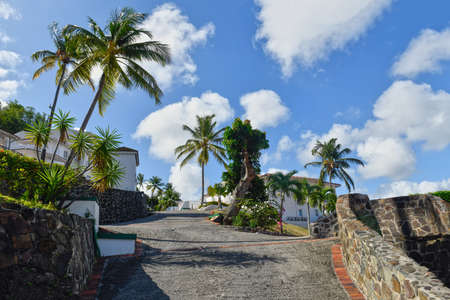 Palm trees and a beautiful sky surround this resort in Saint Lucia.の写真素材