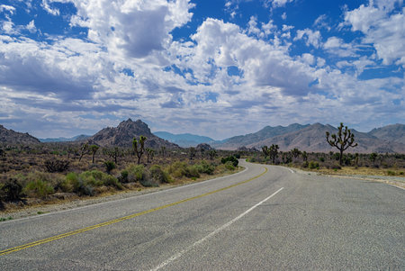 The highway with pullover area in Joshua Tree National Park in Southern California.