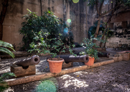 The historic cannons of the Colonial City in this courtyard in Santo Domingo, Dominican Republic.の写真素材