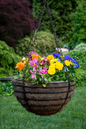 A hanging basket of annual flowers in New Hope Pennsylvania.の写真素材