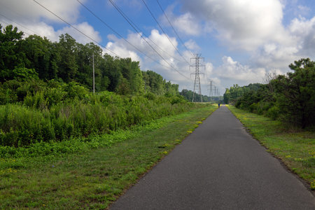 Poweline towers along the Henry Hudson Trail in Monmouth County New jersey.