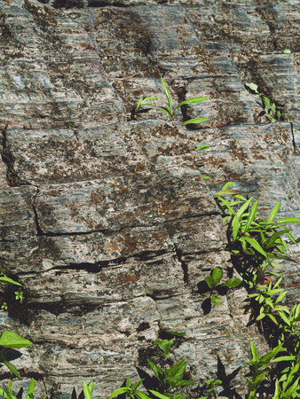 Visible fissures in this bedrock in Warren County New Jersey.の写真素材