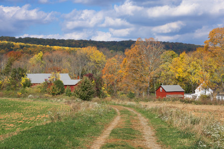 A dirt farm road in the Fall in Long Valley, New Jersey.の写真素材