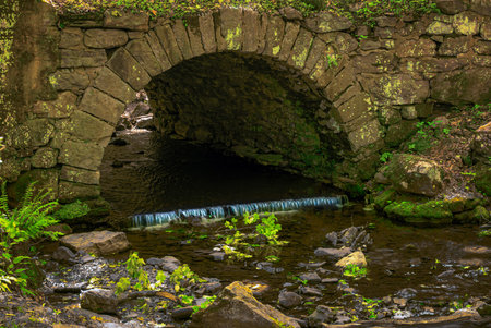 A stream runs through this stone bridge in Stokes State Forest in New Jersey.の写真素材