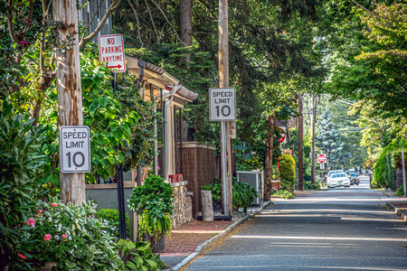 A slow speed limit of 10 MPH on this quiet street in Lambertville, New Jersey.の写真素材