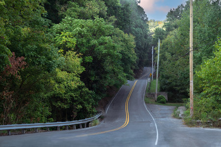 Curved road in the middle of the forest with trees in the backgroundの写真素材
