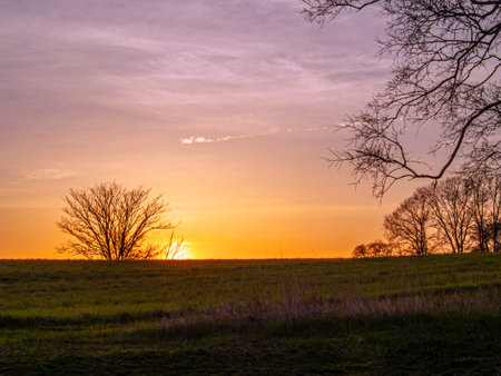 The sunset over a meadow in Thompson Park in Monmouth County, New Jersey.の写真素材