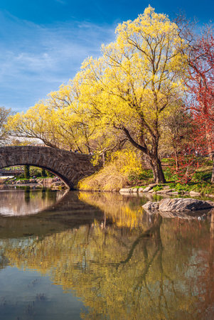 Beautiful Spring colors by the stone bridge and the Central Park duck pond.の写真素材
