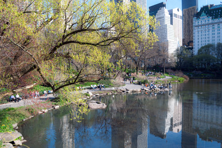 A beautiful Spring day around the lake in Central Park in New York City.の写真素材