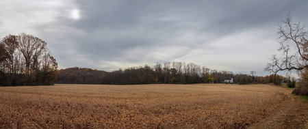 Panoramic view of a plowed agricultural field in autumn.の写真素材