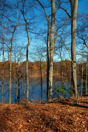 A late Autumn View of the Swimming River Reservoir in Colts Neck, New Jersey.の写真素材