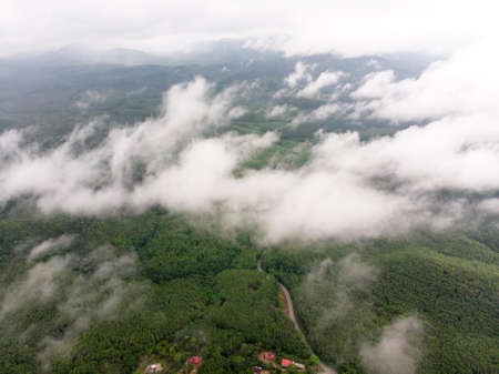 Aerial view in the rainforest with white cloud cover over the forestの写真素材