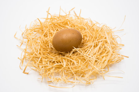 egg with nest isolated with white background shooting in studio