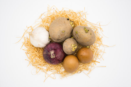 mix of egg potato onion and garlic on the nest with white background.