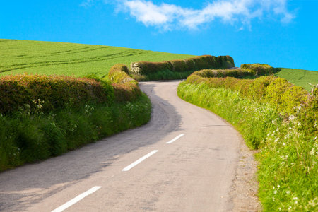 Village road in between grass field
