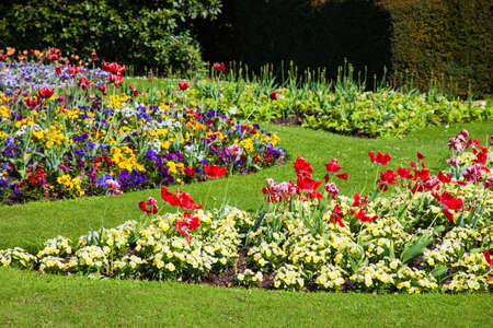 Colourful garden viewの写真素材