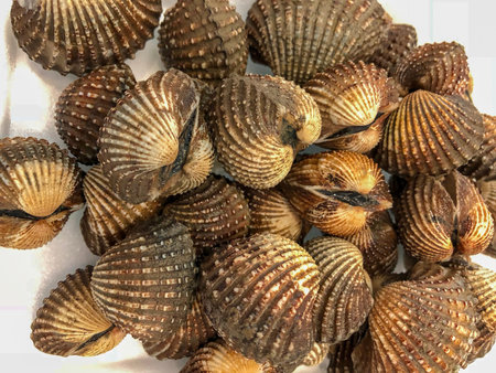 Grilled cockles in white foam box