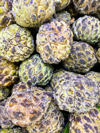 Closeup to pile of custard applesの写真素材