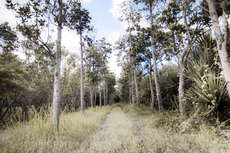 Landscapeの写真素材