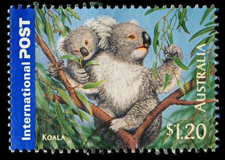 AUSTRALIA - CIRCA 2006  An Australian Used Postage Stamp showing Koala Bear, circa 2006のeditorial素材