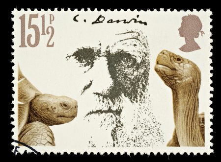 UNITED KINGDOM - CIRCA 1981  A British Used Postage Stamp Showing Charles Darwin and Giant Tortoises, circa 1981のeditorial素材
