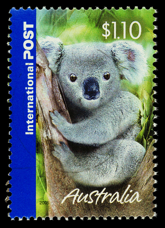 AUSTRALIA - CIRCA 2005: An Australian Used Postage Stamp showing a Koala Bear, circa 2005のeditorial素材
