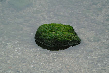 A sea rock cover with mossの写真素材