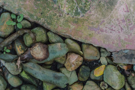 Gravel with dry leaves and concrete pathの写真素材