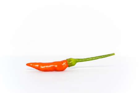 red chilli on white backgroundの写真素材
