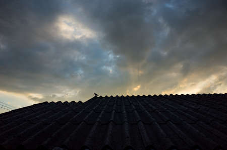 Bird silhouette on the roof with cloudy backgroundの写真素材