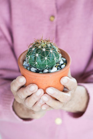 old woman in pink gown holding cactus potの写真素材