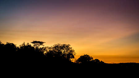 sunset silhouetteの写真素材
