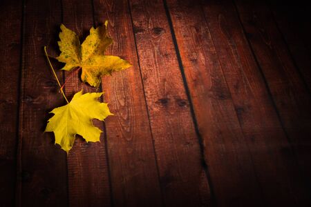 maple leaves on a wooden brown backgroundの写真素材