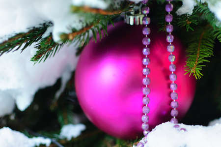 Decorated Christmas tree with golden and red toys and illuminationの写真素材