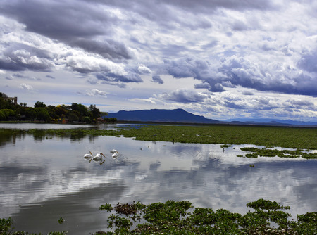 View of the lakeの写真素材