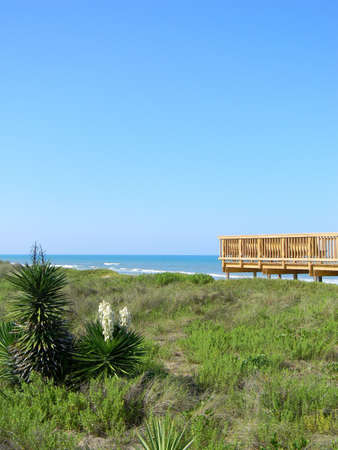Walkway through the dunes leading to the beach.の写真素材