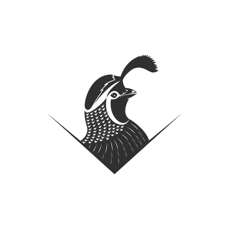 quail vector illustration for your company or brandのイラスト素材
