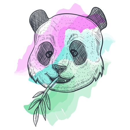 panda BAMBOO watercolor vector illustrationのイラスト素材