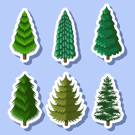 pine tree sticker vector illustration for your company or brandのイラスト素材