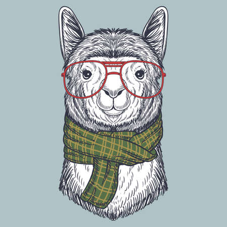 Llama hand drawn wearing a red glasses and scarf for your company or brandのイラスト素材