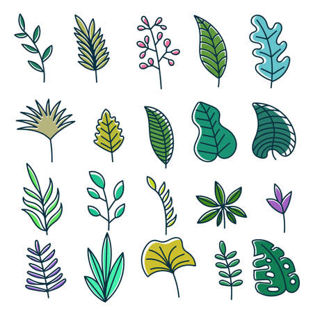 Floral nature elements decoration vector illustration for your company or brandのイラスト素材