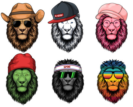Lion fashion set collection for your company or brandのイラスト素材