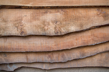 A wall or fence, faced and composed of roughly hewn horizontally laid thin boards, with a arched...