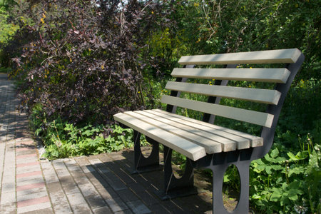 An unpainted real wooden bench in a park among green leaves and trees near a gray sidewalk paved...