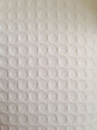 White textureの素材