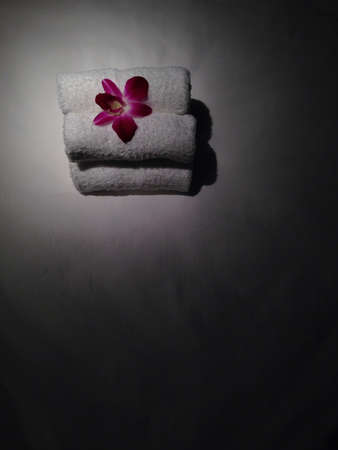 Orchid on towelsの素材