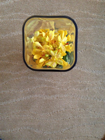 Yellow orchids in vaseの素材