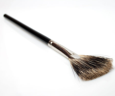 set of makeup brushes isolated on white