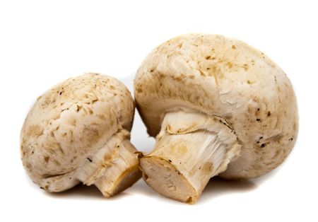 close-up big champignon isolated on whiteの写真素材