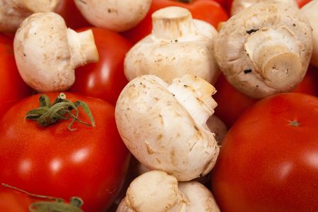 tomato and champignon mushroom backgroundの写真素材
